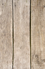 Texture of wood background closeup