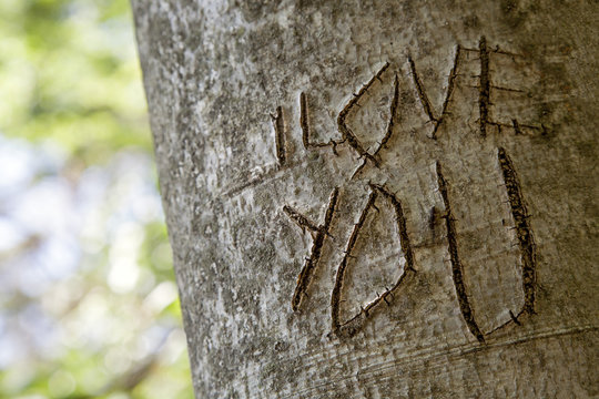 In Baumrinde geritztes "I love You"