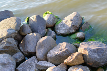 a lot of big stones covered with algae in the water