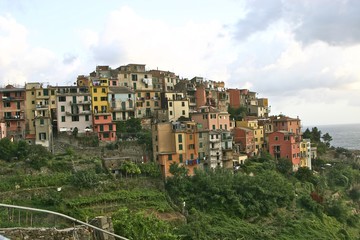 Fototapeta na wymiar Cinque Terre - Corniglia