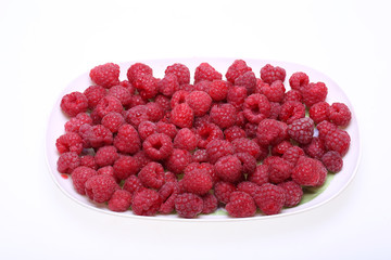 A beautiful selection of freshly picked ripe red raspberries.