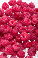 A beautiful selection of freshly picked ripe red raspberries.