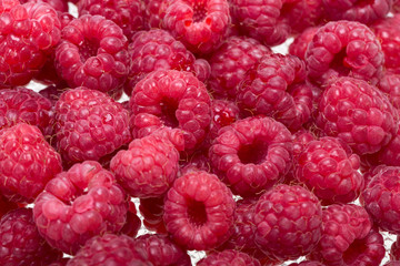 A beautiful selection of freshly picked ripe red raspberries.
