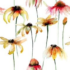 Fototapety  Wzór z pięknymi kwiatami Daisy
