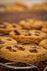 Chocolate chip cookies - close up