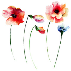 Set of summer watercolor flowers - 89076879