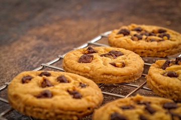 Chocolate chip cookies