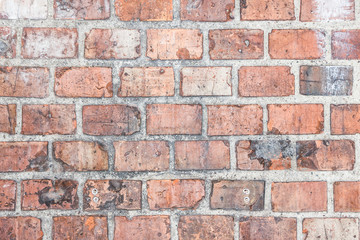 Obraz premium Grunge brick wall texture.