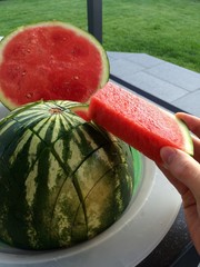 Wassermelone