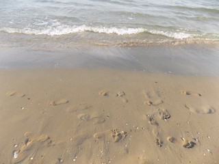 Footprints on sandy beach