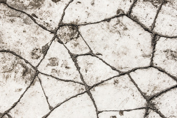 White cracked rough surface.