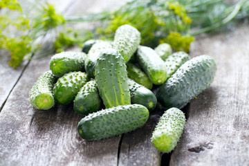 fresh cucumbers on wooden table