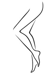 Graceful female legs