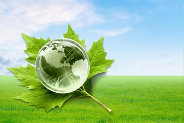 Alternative Energy.