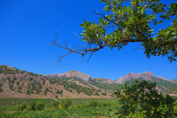 Fototapeta na wymiar Crimea mountain landscape