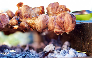 Barbecue skewers with meat
