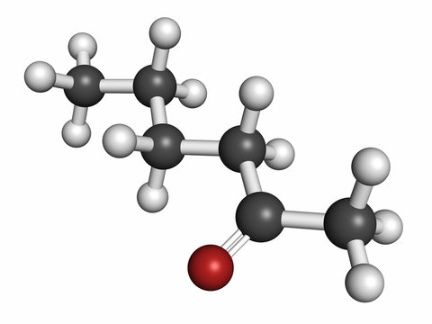 Methyl butyl ketone (MBK, 2-hexanone) solvent molecule.
