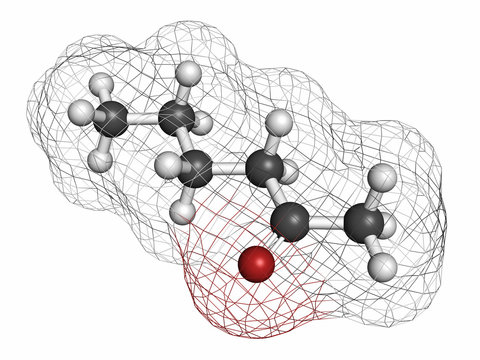 Methyl butyl ketone (MBK, 2-hexanone) solvent molecule. 