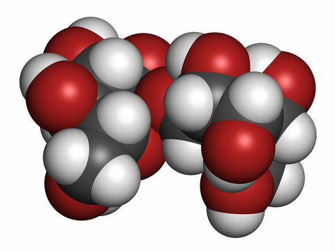 Trehalose (mycose, tremalose) sugar molecule. 