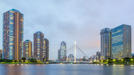 Panorama view of waterfront Tokyo city at twilight