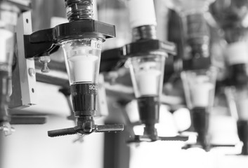 Bottles of spirits and liquor at the bar..