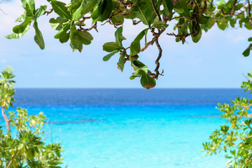 Fototapeta na wymiar Beautiful blue sea at Koh Miang in Mu Koh Similan, Thailand