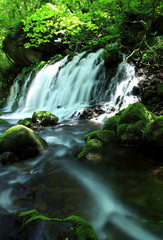 秋田県にかほ市　 夏の元滝伏流水