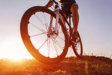 low angle view of cyclist riding with mountain bike on trail at