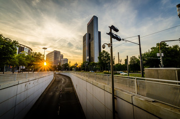 FFM