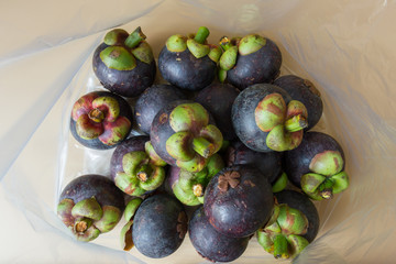 Mangosteen in bag