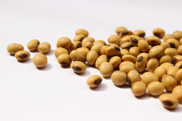 Soybean