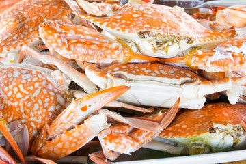 Close Up Hot Steamed Crabs