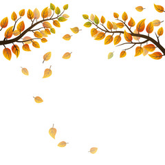 Autumn branches with falling leaves on white background