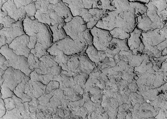 Texture drought parched earth