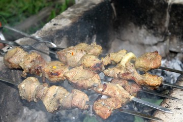Pork shish kebab on skewers