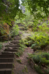 Treppe im Wald am Berg