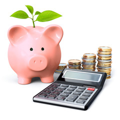 Piggy bank with calculator, glasses, coin stacks and plant
