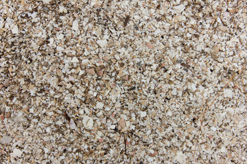 Sand texture as a background