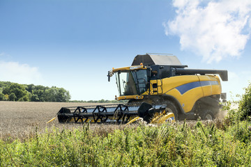 Fototapeta premium combine harvester on a wheat field