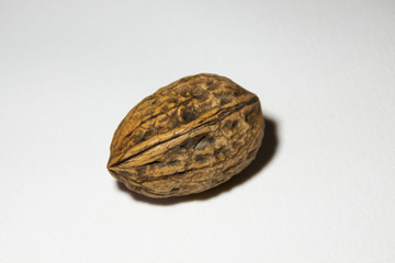 Single walnut on white background