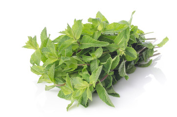 Fresh mint