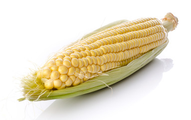 Fresh corn cob © thodonal