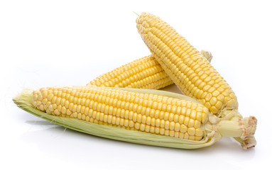 Fresh corn cob