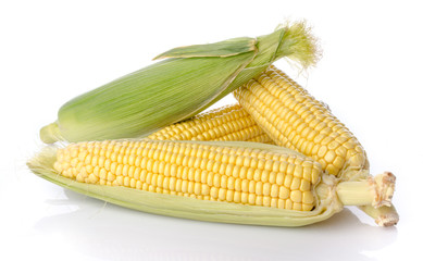 Fresh corn cob