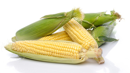 Fresh corn cob