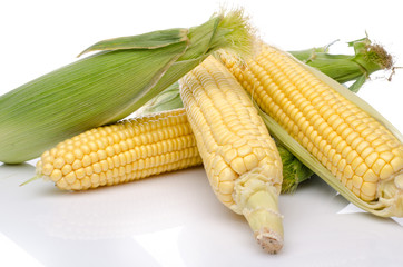 Fresh corn cob