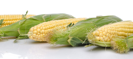 Fresh corn cob © thodonal