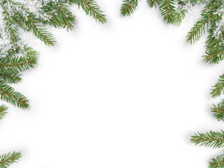 background from fir twigs with shadow