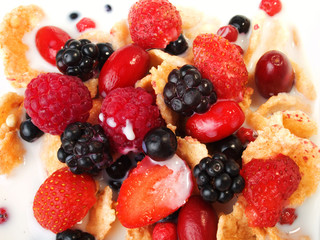 Cereal brakfast with berries