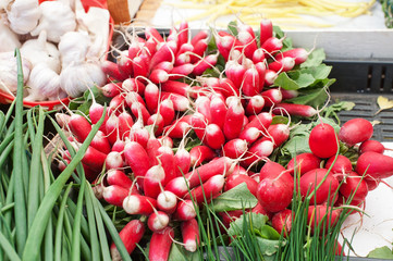 Bunches of Radishes on Sale at Market - 89096880